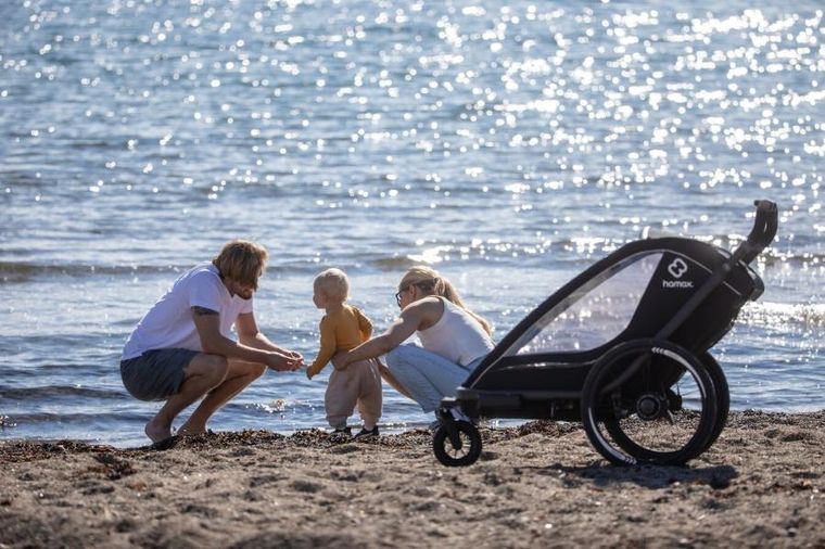 Hamax, Breeze, przyczepka rowerowa, podwójna, Black