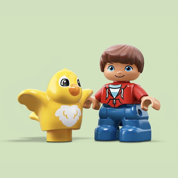 LEGO DUPLO, Kreatywna zabawa, 10887