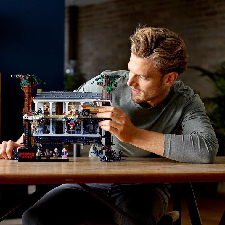 LEGO Ideas, Druga Strona, 75810