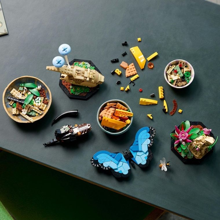 LEGO Ideas, Kolekcja owadów, 21342
