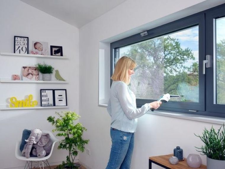 Leifheit, Nemo, odkurzacz do szyb