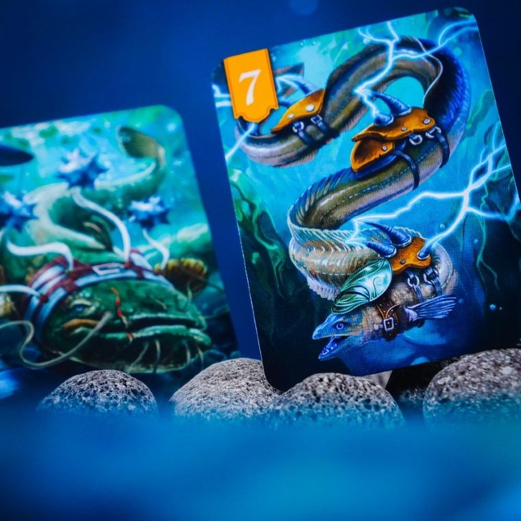 Muduko, Spór o bór 2: Na tamę marsz, karciana gra strategiczna dla 2 osób