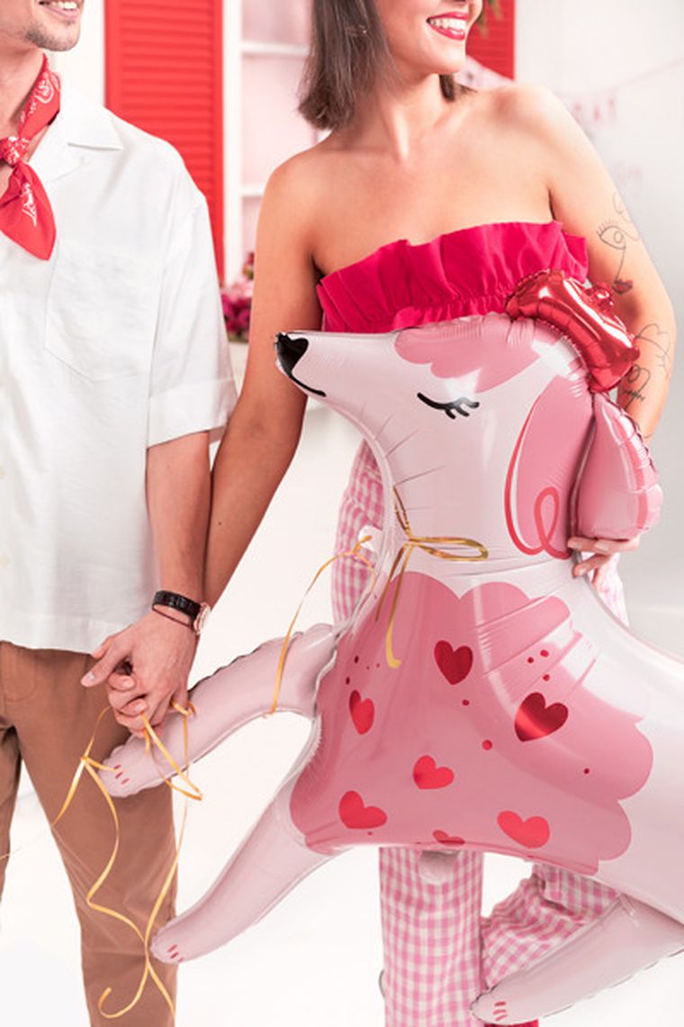 PartyDeco, balon foliowy Pudel, 119-108 cm, mix, 1 szt.