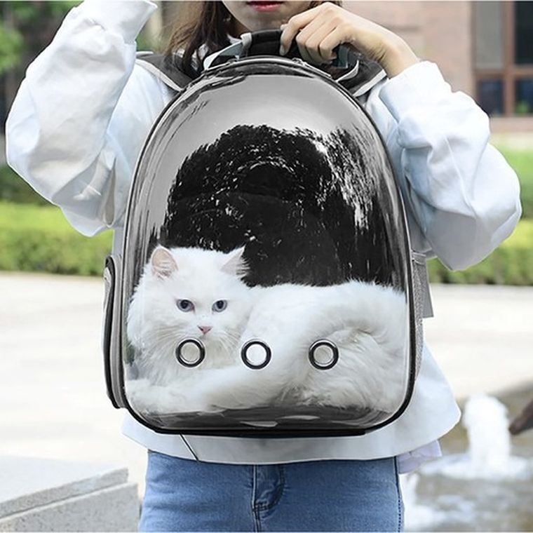 Purlov, transporter, plecak dla kota/psa