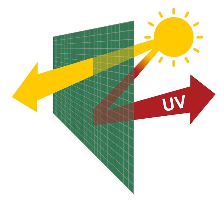 Saska Garden, szklarnia do pomidorów i ogórków, zielona, 200-77-168-150 cm