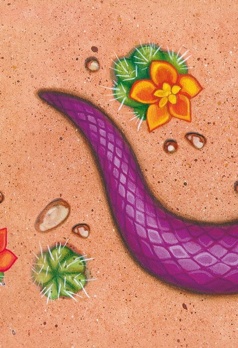 Serpentyna. Kolorowe węże, gra karciana