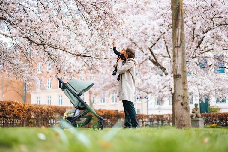 Thule, Spring 2, wózek spacerowy, black/mist green