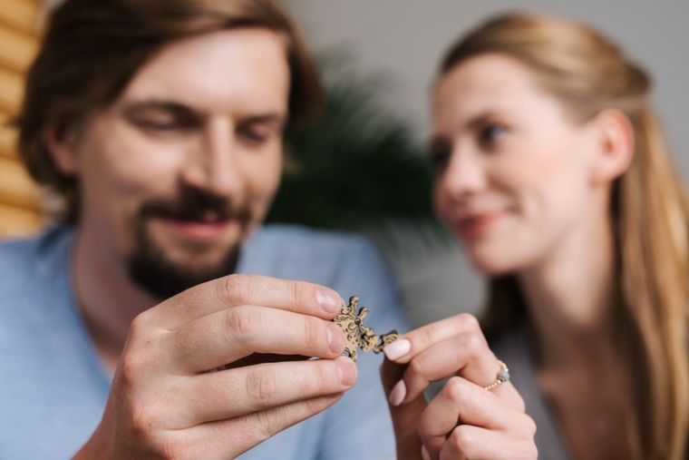 Trefl, Kolorowe balony, puzzle drewniane, 1000 elementów