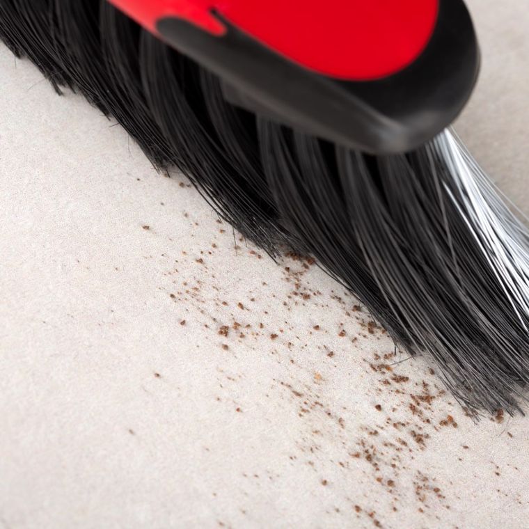 Vileda, Classica 2w1, uniwersalna szczotka do zamiatania, 143782