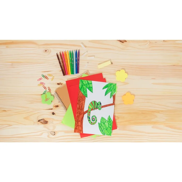 Bic, Intensity Up, flamastry, 24 kolory