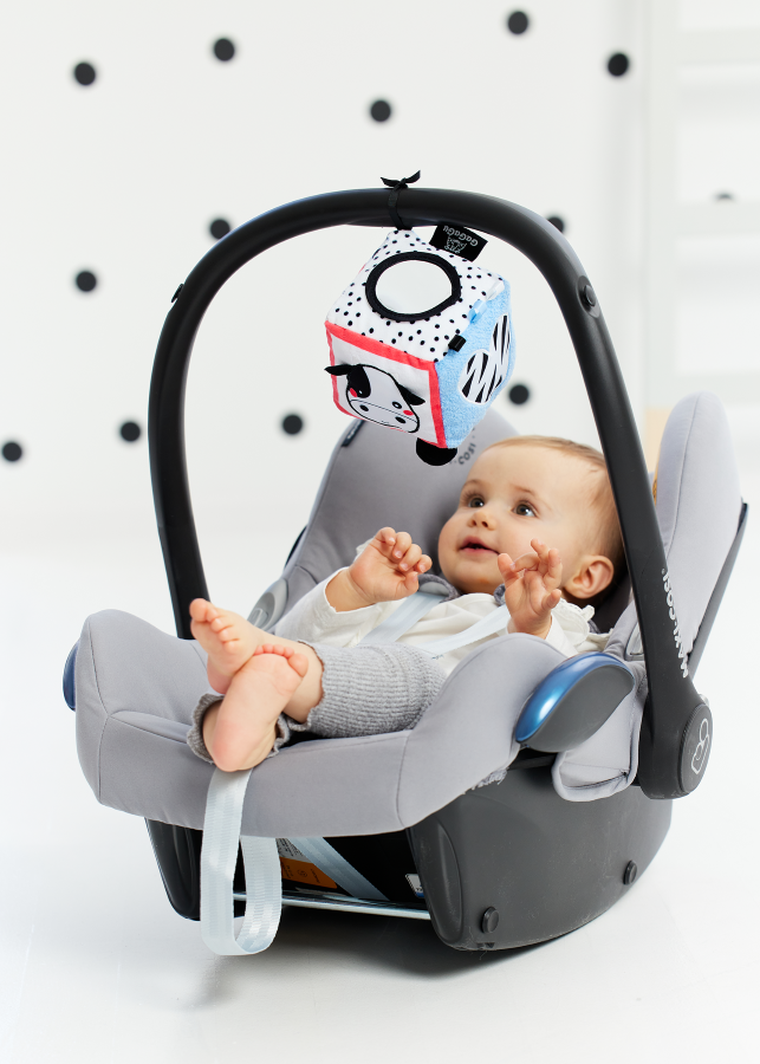 Gagagu, kostka mała