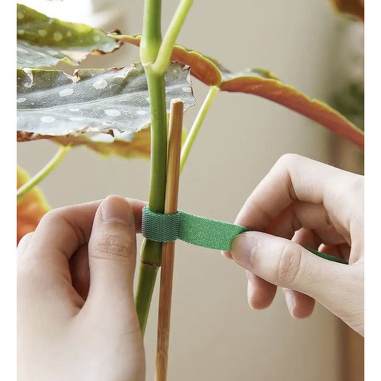 Gardlov, rzep-taśma ogrodnicza, 5 m