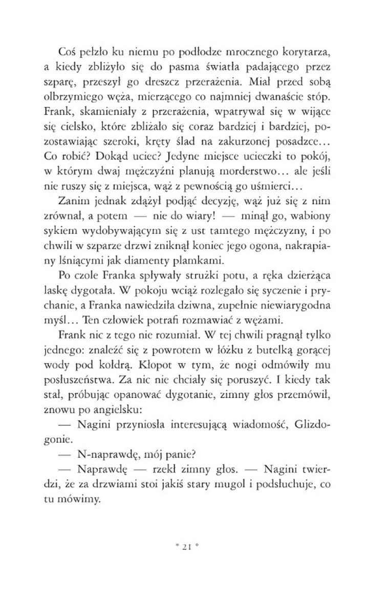 Harry Potter i Czara Ognia