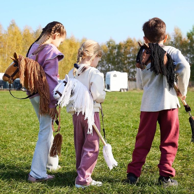 Hoppihorse, Hobby Horse, konik na kiju, A3, długowłosy, kasztanowy