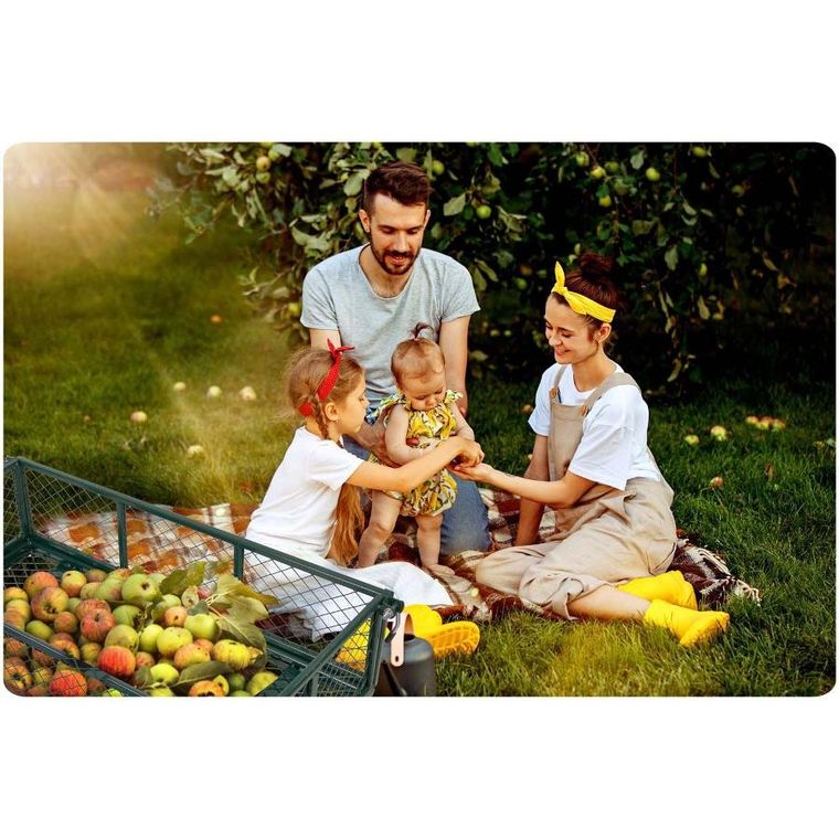 Humberg, wózek ogrodowy, wywrotka, 100l