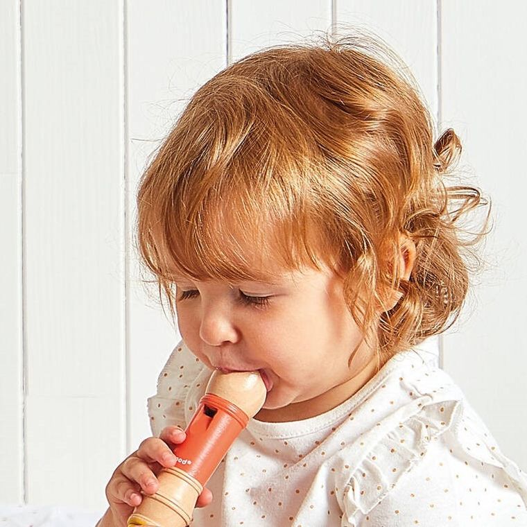 Janod, Gioia, zestaw zabawek muzycznych, 18m+