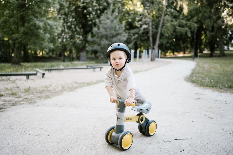 Kidwell, Petito, jeździk, dino