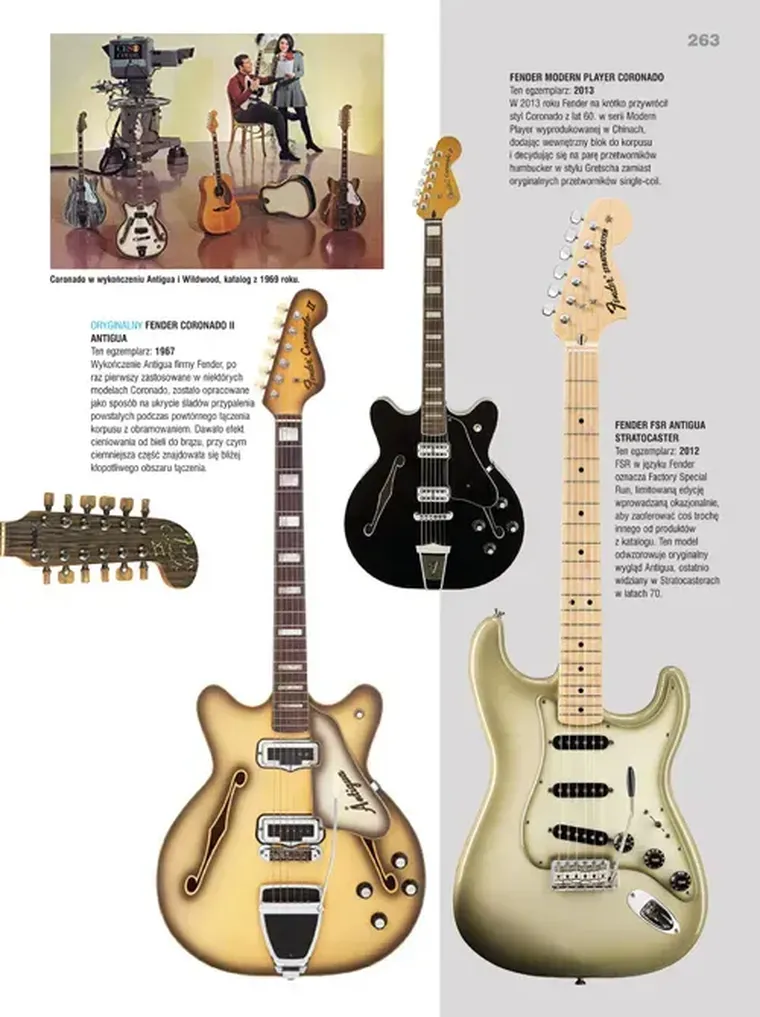 Legendarne gitary. Ilustrowany przewodnik
