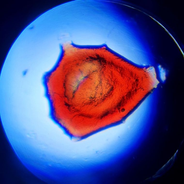 Lisciani, I'm a Genius, Wielkie Laboratorium Badań Naukowych, 120 eksperymentów