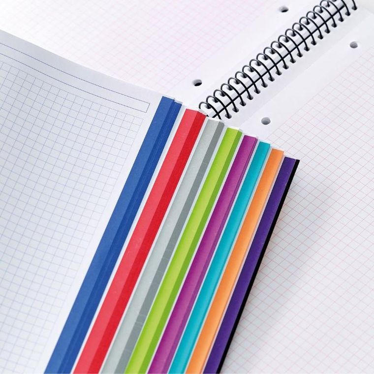 Miquelrius, NB8, zeszyt A4, w kratkę, czerwony, 200 stron