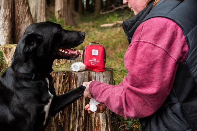 Mountain Paws, apteczka pierwszej pomocy dla psa