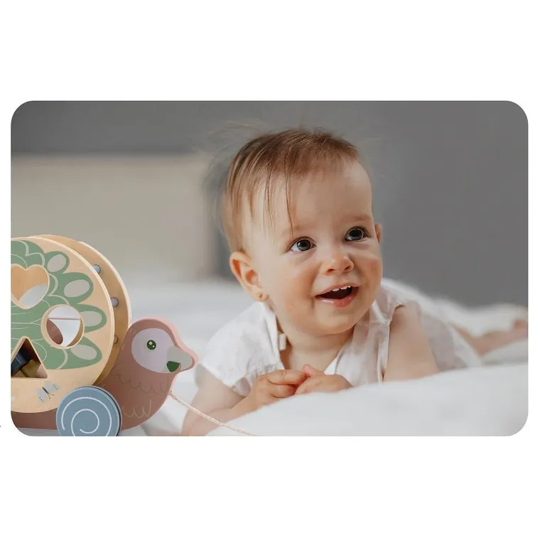 Nukido, Papuga, drewniana zabawka do ciągnięcia