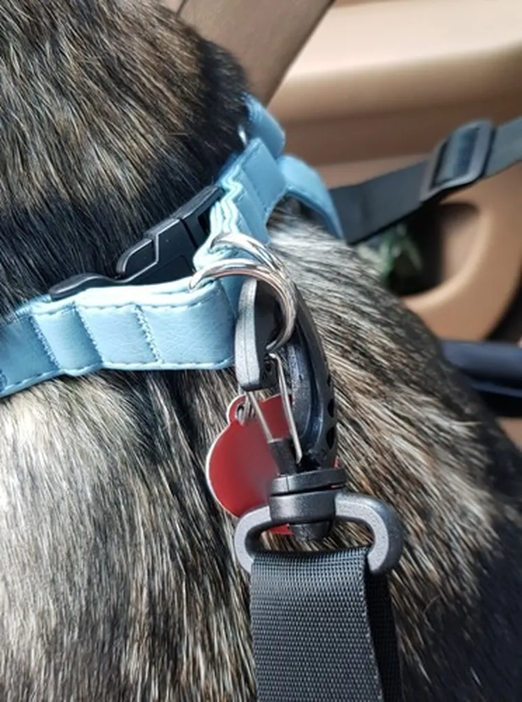 Purlov, transporter dla psa na siedzenie