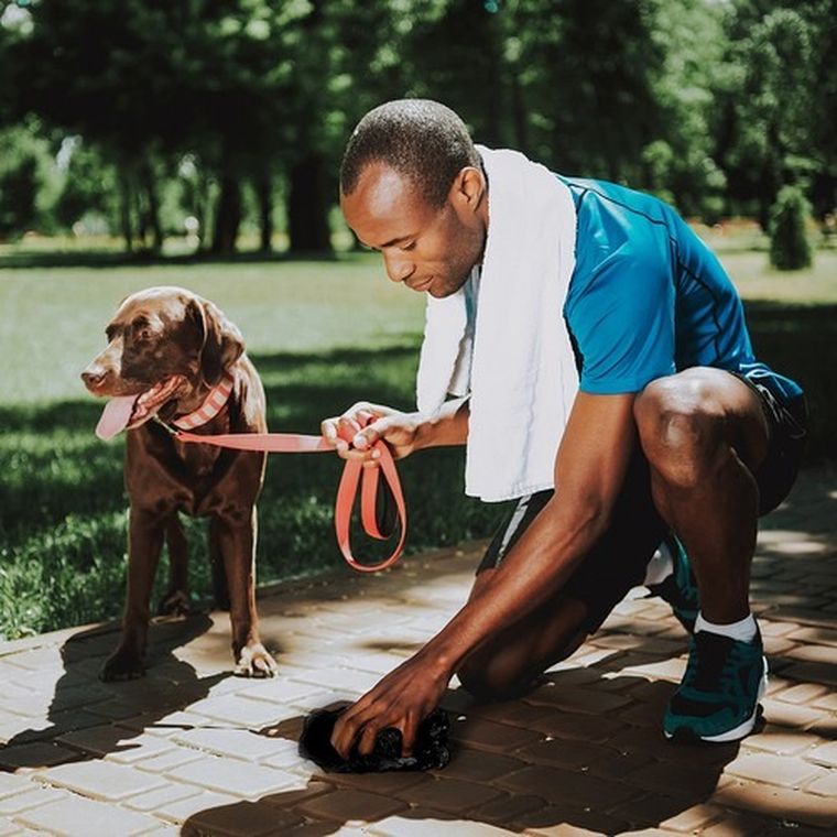 Purlov, zestaw woreczków na odchody + etui