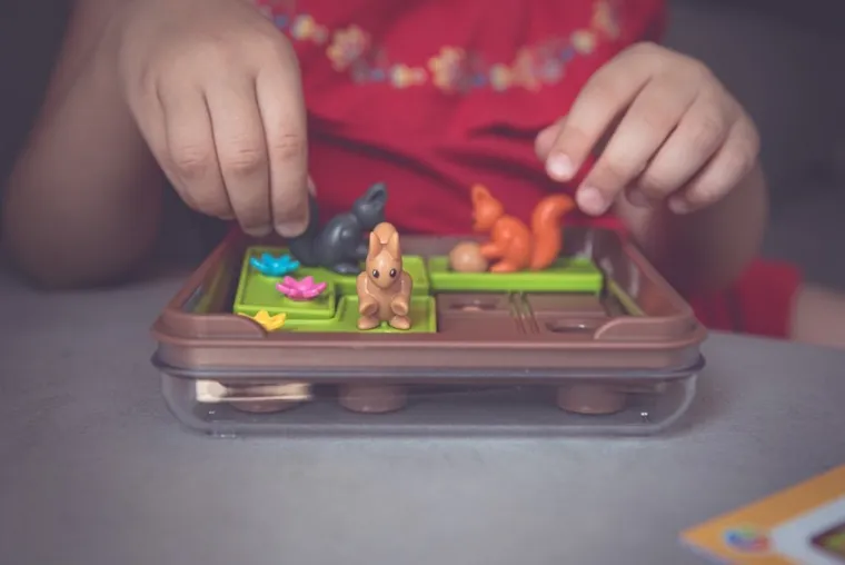 Smart Games, Wiewiórki Atakują! gra logiczna