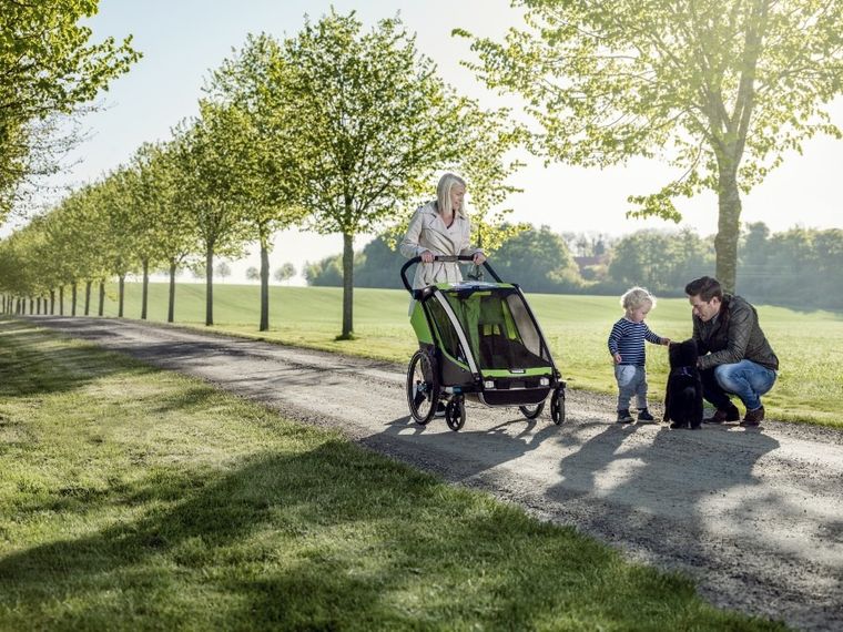 Thule, Chariot Cab 2, przyczepka rowerowa dla dzieci, oliwkowy/szary