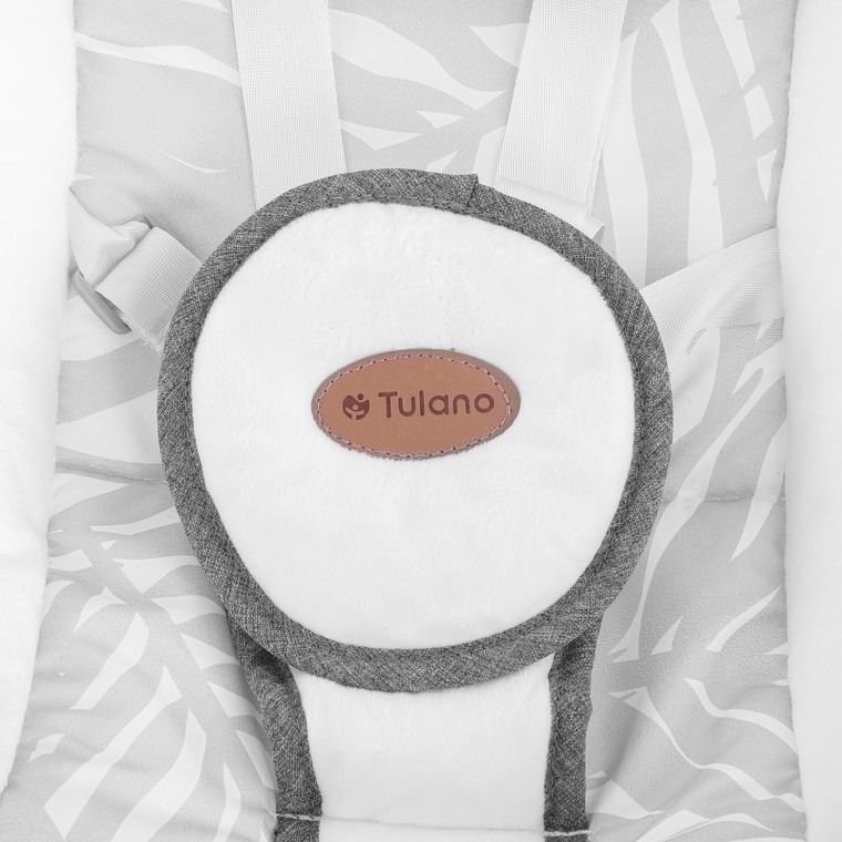 Tulano, Astrid 35, bujak elektroniczny