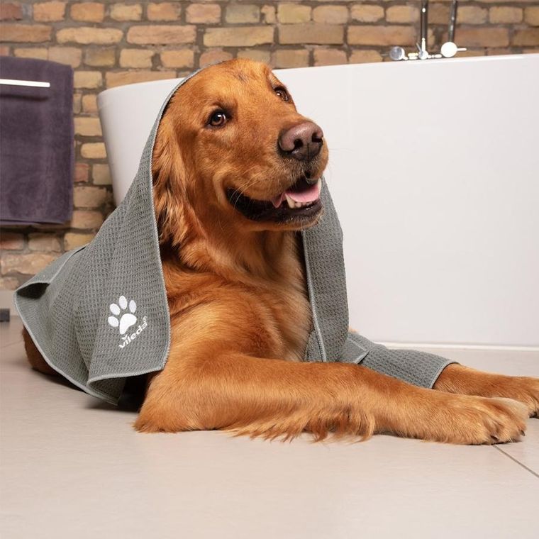 Vileda, Pet Pro, ręcznik z mikrofibry dla zwierząt, rozmiar XL