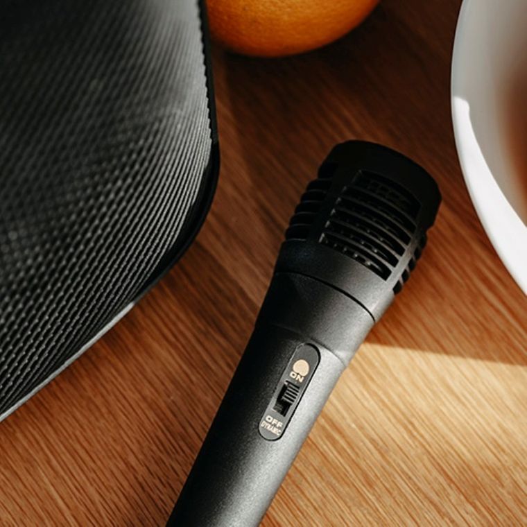 Adler, głośnik bluetooth z radiem i funkcją karaoke
