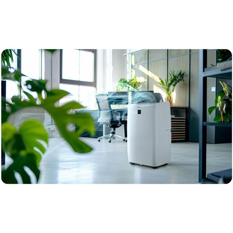 Berdsen, klimatyzator przenośny, 14000 BTU, BD-581