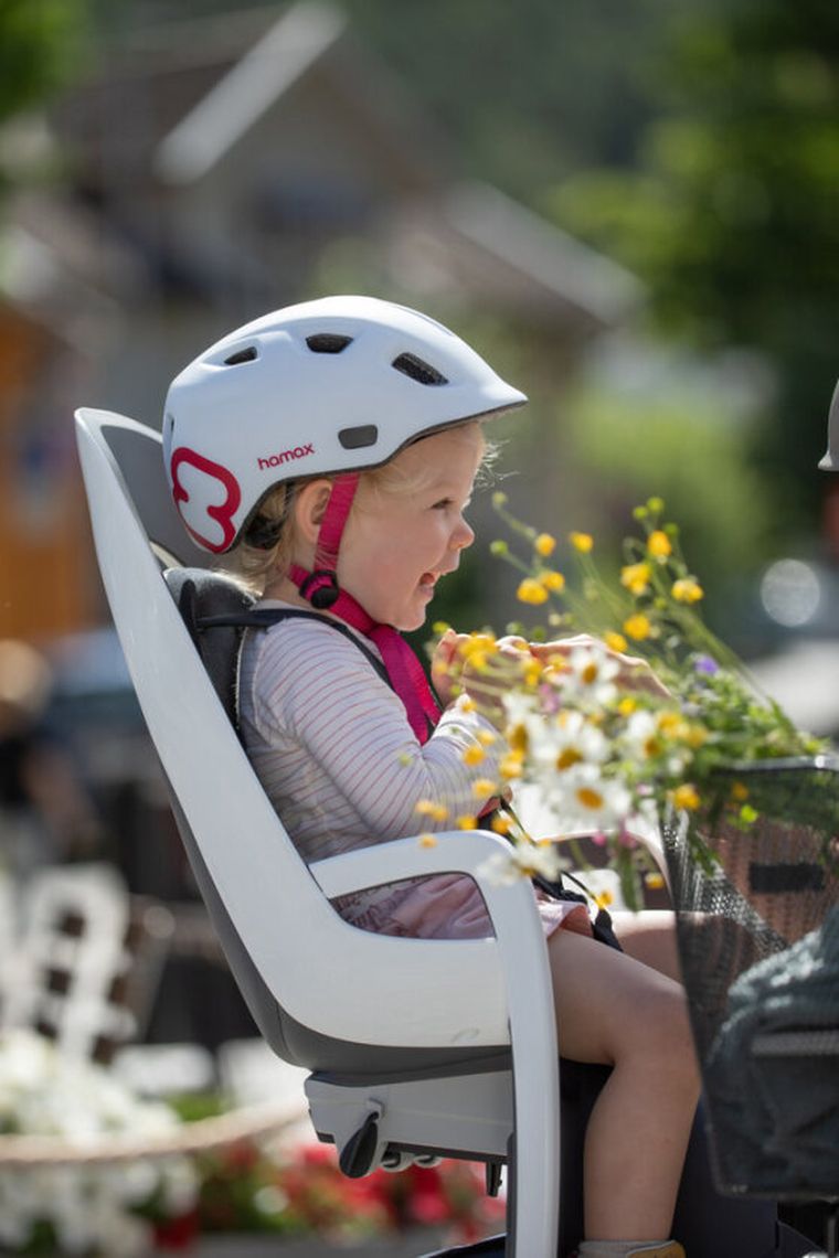 Hamax, Caress, fotelik rowerowy montowany na bagażniku, dark grey/red