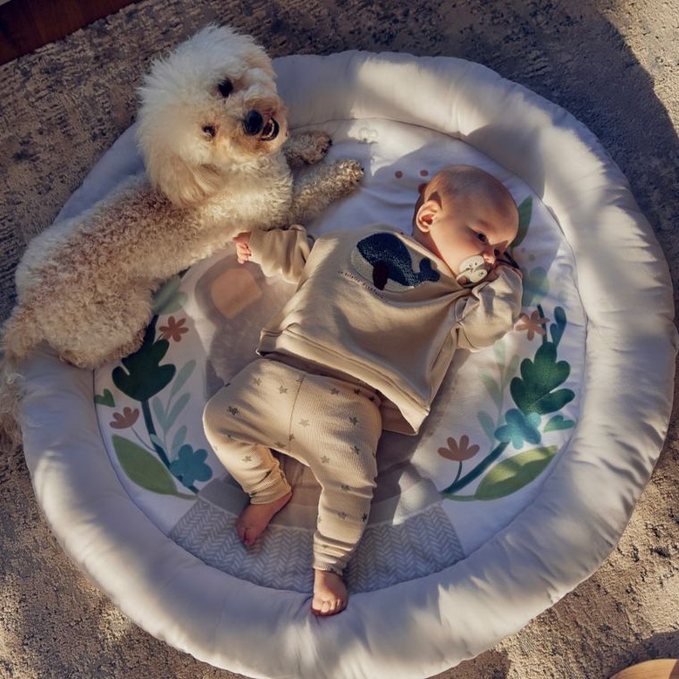 Kinderkraft, Cozyplay, mata edukacyjna