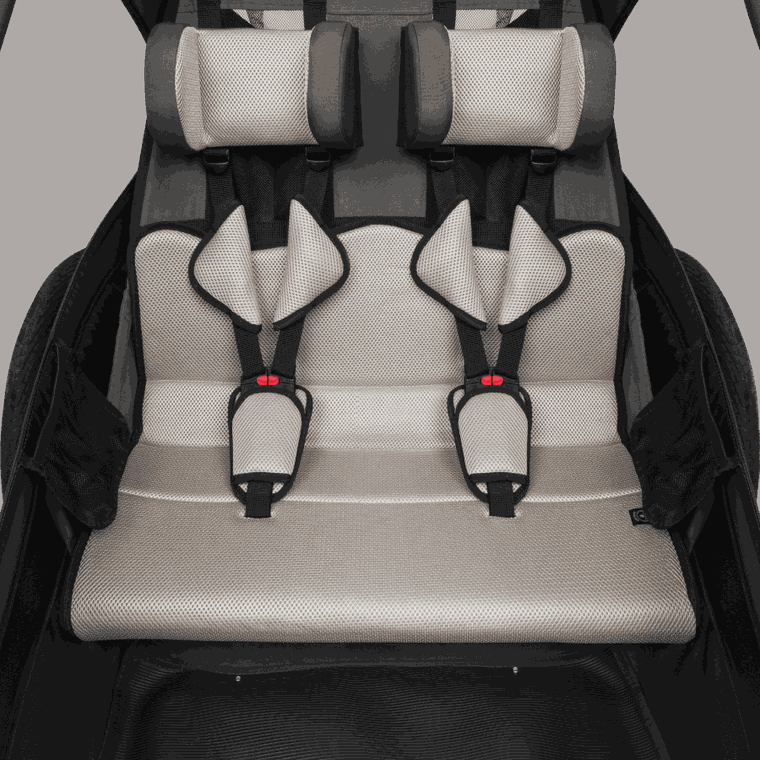 Lionelo, Cama, przyczepka rowerowa, Grey Graphite