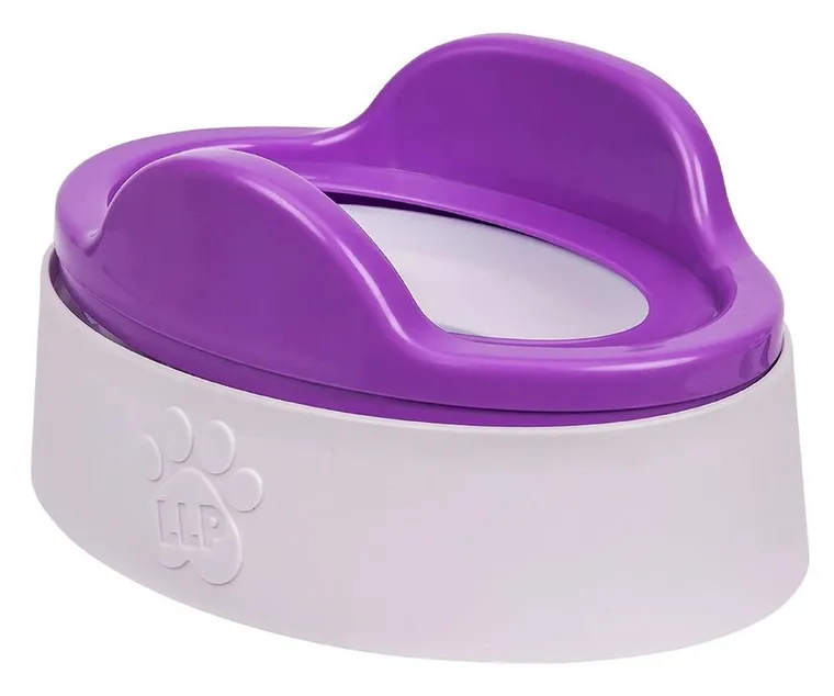 Little Live Pets, Moja Panda ChuChu, maskotka interaktywna robiąca kupkę