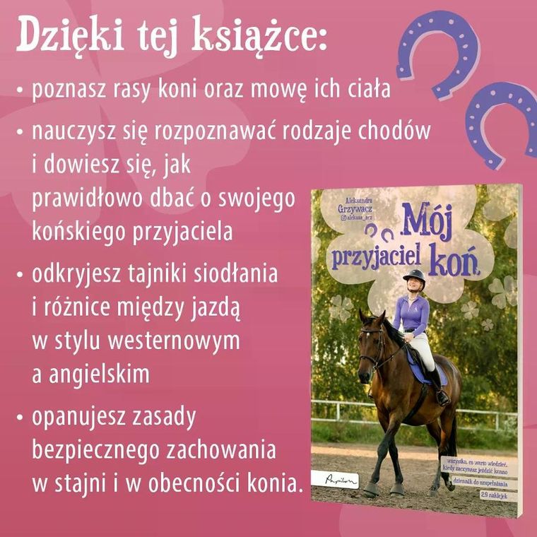 Mój przyjaciel koń