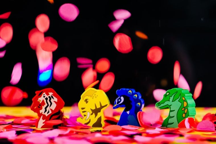 Muduko, Holi. Festiwal Kolorów, gra logiczna