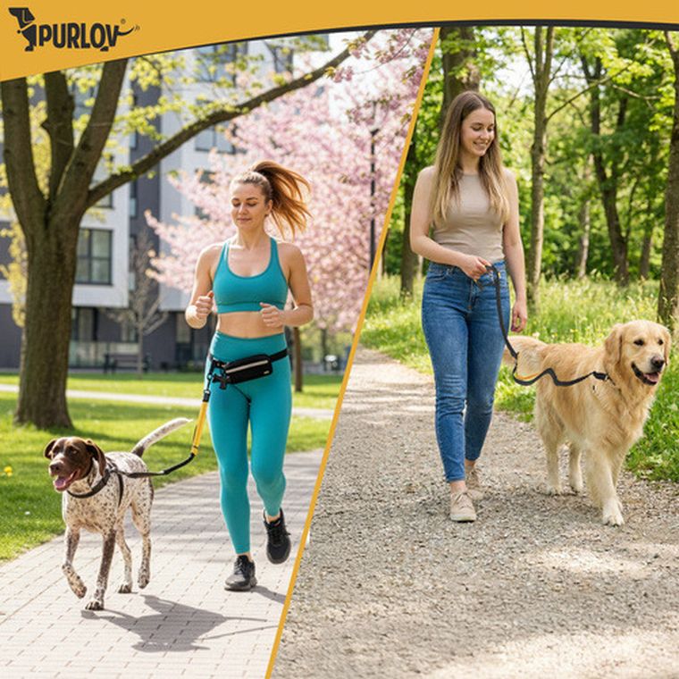 Purlov, pas biodrowy ze smyczą, 24689