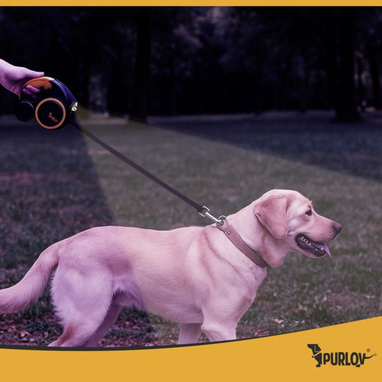 Purlov, smycz automatyczna z latarką, 5m