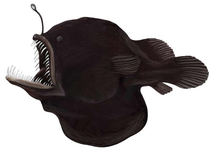 Rebel, Na dnie morza, gra strategiczna