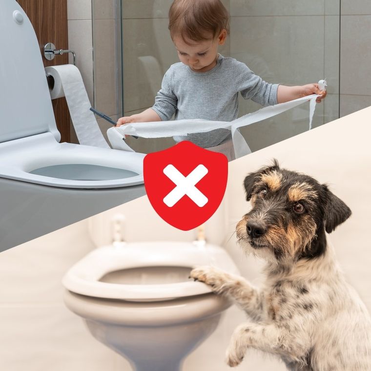 Sipo, zabezpieczenie toalety przed dzieckiem