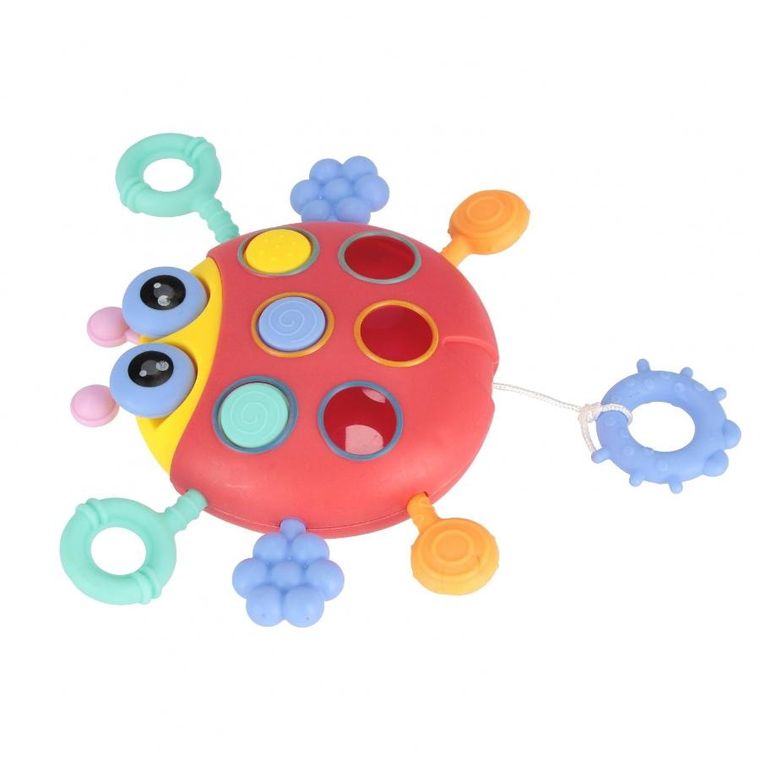 Bam Bam, zabawka sensoryczna, biedronka