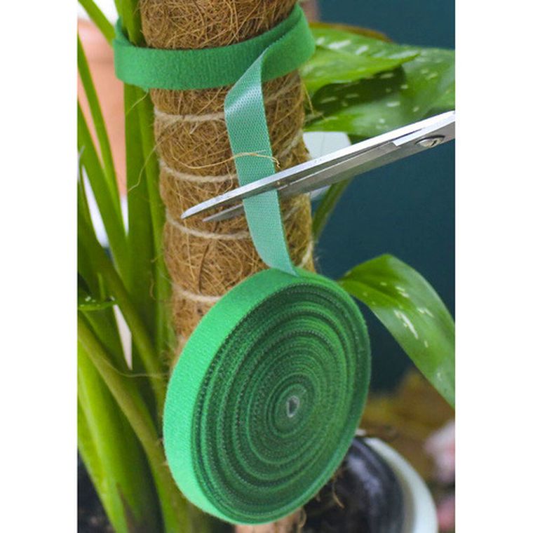 Gardlov, rzep-taśma ogrodnicza, 5 m