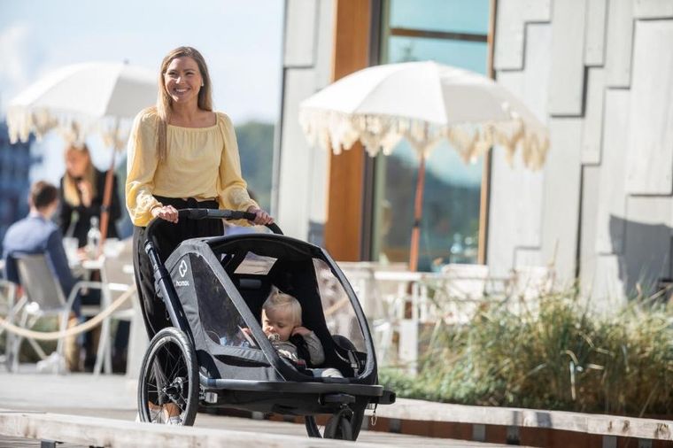 Hamax, Breeze One, przyczepka rowerowa, Black