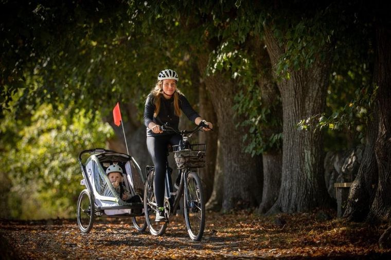 Hamax, Breeze One, przyczepka rowerowa, White/Green