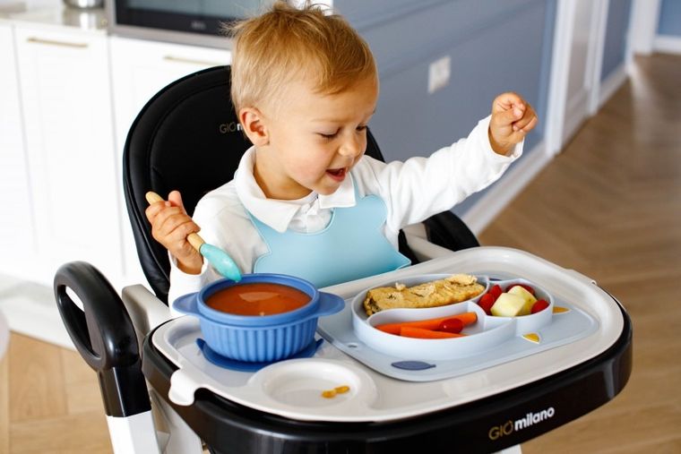 InnoGIO, GIOfresh, Sówka, silikonowa miseczka z pokrywką, niebieska