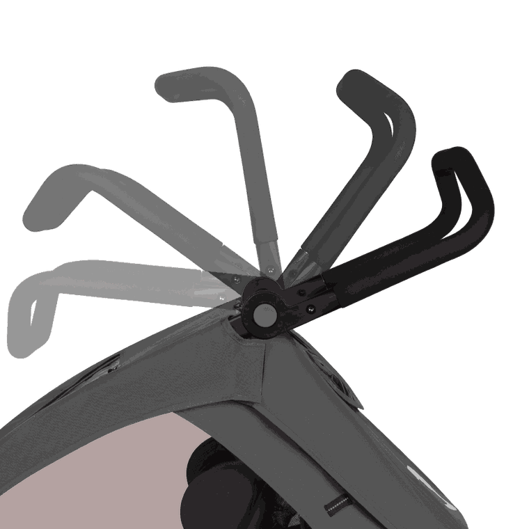 Lionelo, Cama, przyczepka rowerowa, Grey Graphite